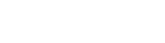 Voxel logo